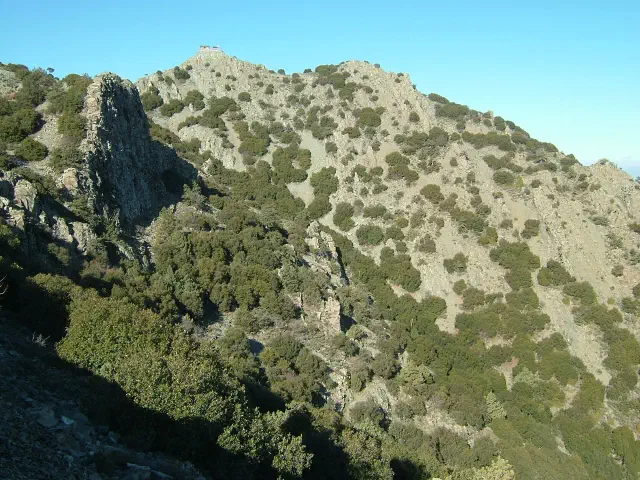 Bos en rotsen op de Madari-berg bij Agros in het Troodos-gebergte