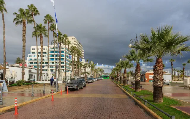 De palmenlaan van de Finikoudes-boulevard in Larnaca, met de hotelgevels erlangs De palmenlaan van de Finikoudes-boulevard in Larnaca, met de hotelgevels erlangs